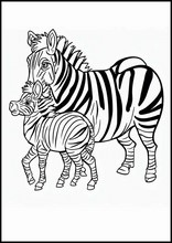 Zebre - Animali6