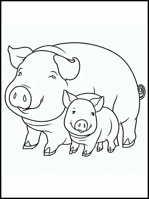 Schweine - Tiere 4