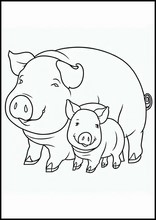Свиньи - Животные4