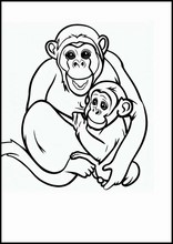 Chimpanser - Dyr1