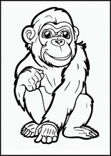 Chimpanzés - Animaux2