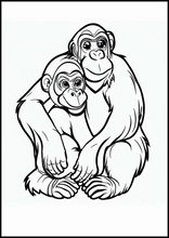 Schimpansen - Tiere4