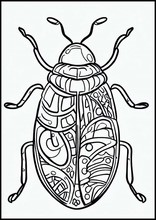 Bedbugs - Animals1