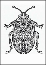 Cimici - Animali2
