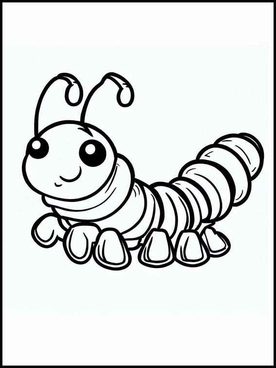 Centipedes - Animals 1