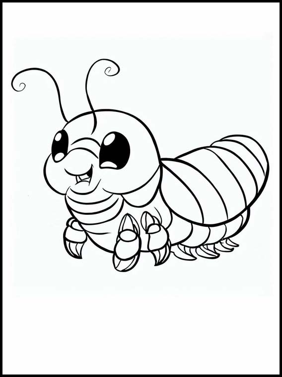 Centipedes - Animals 2
