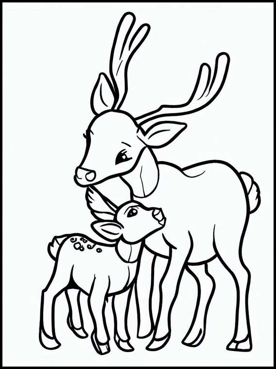 Deer - Animals 1