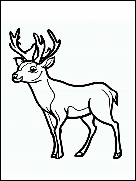 Deer - Animals 2
