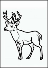 Deer - Animals2
