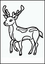 Deer - Animals3