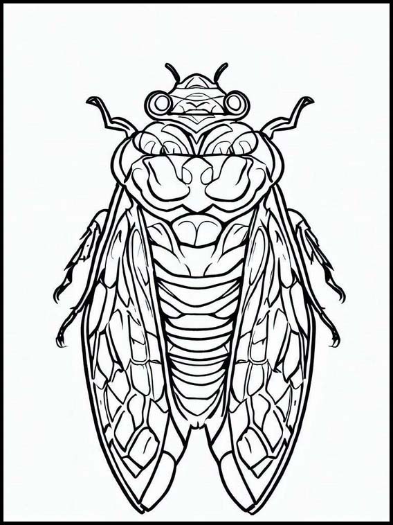 Cicaden - Dieren 1