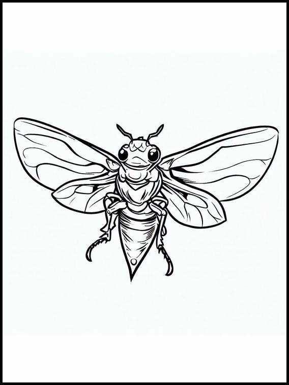 Cicadas - Eläimet 2