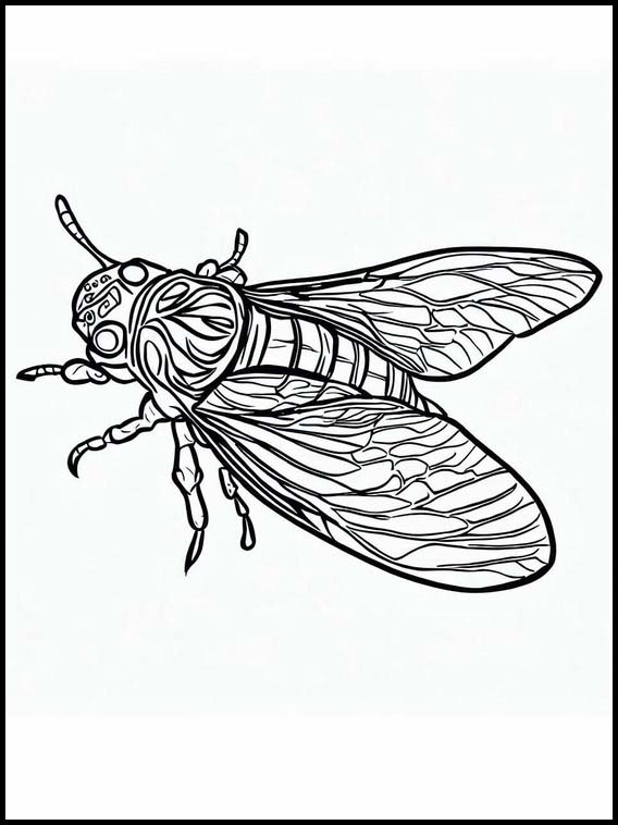Cicaden - Dieren 5