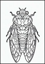 Cicaden - Dieren1