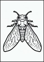 Cicaden - Dieren3