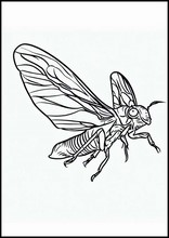 Cicaden - Dieren6