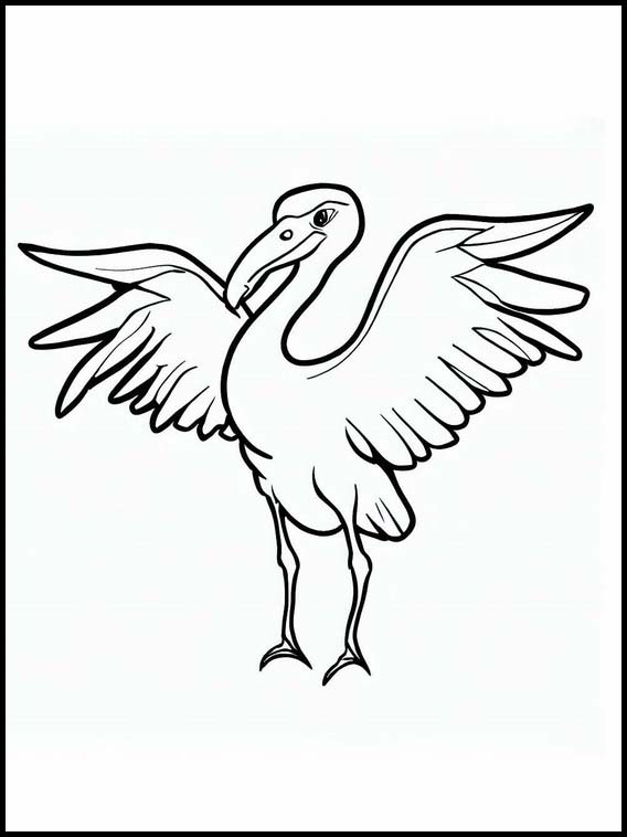 Stork - Dyr 1