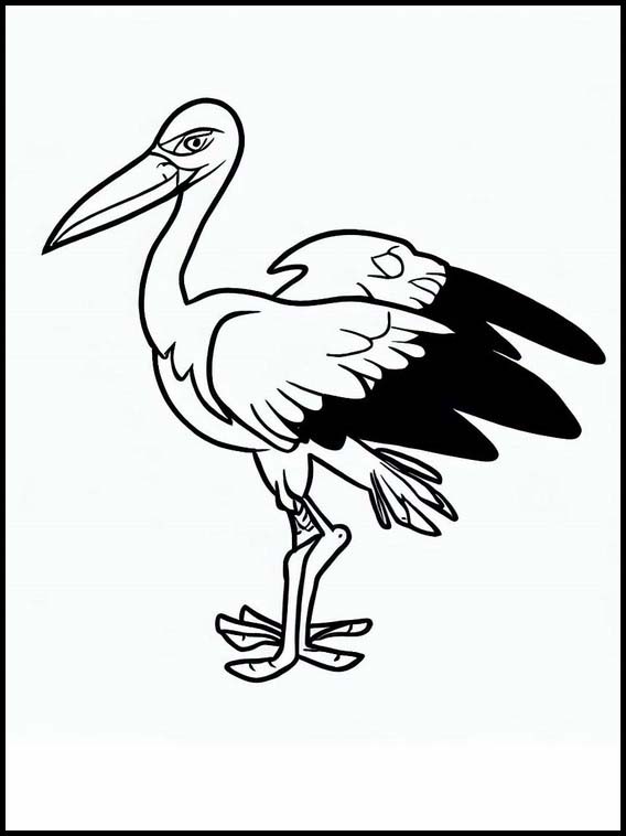 Storks - Animals 3