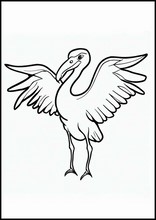 鸛1