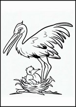 鸛2