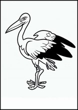 Storks - Animals3
