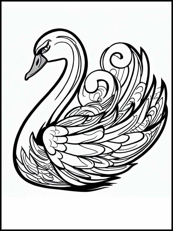 Cisnes - Animais 3