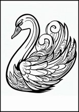 Cisnes - Animales3