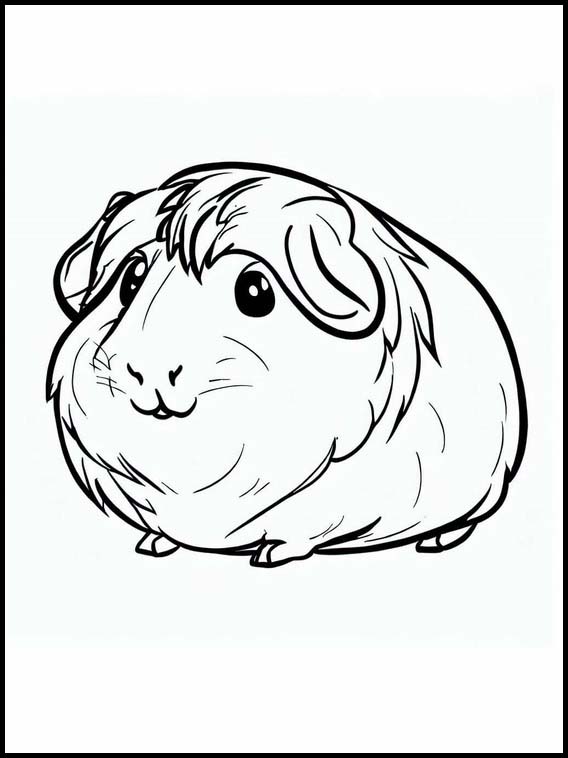 Guinea Pigs - Animals 1