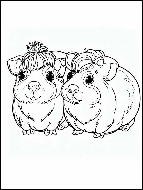 Guinea Pigs - Animals 4