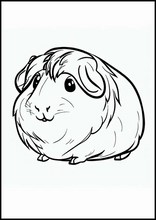 Guinea Pigs - Animals1