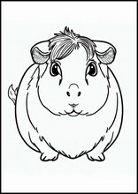 Guinea Pigs - Animals2