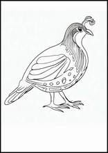 鵪鶉4
