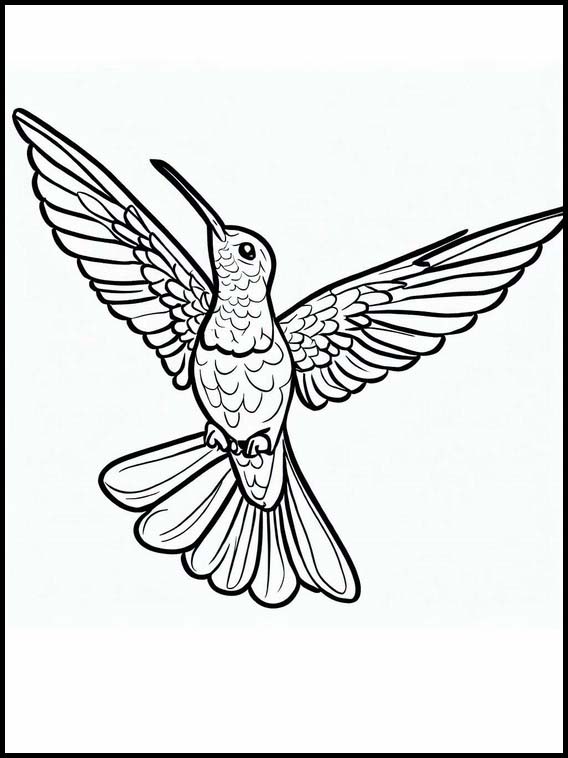 Kolibrit - Eläimet 1