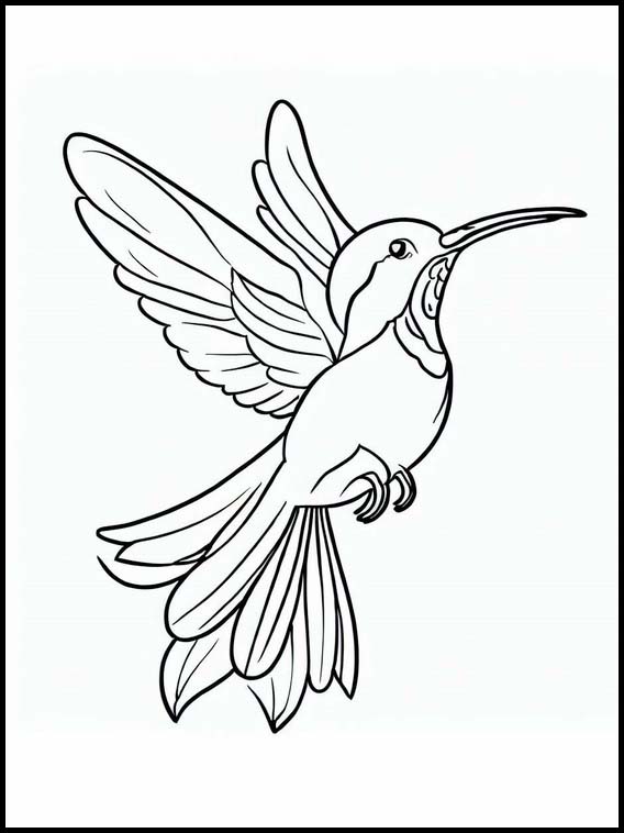 Kolibrit - Eläimet 6