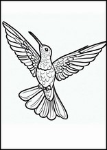 Kolibrier - Dyr1