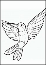 Kolibrier - Dyr2