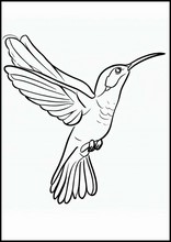Kolibrier - Djur5