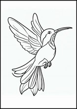Kolibrier - Dyr6