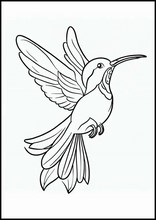 Colibrì - Animali6