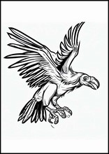 Condor - Animales4