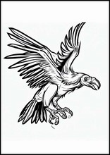 Condor - Dieren4