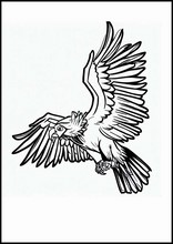 Condor - Animales5