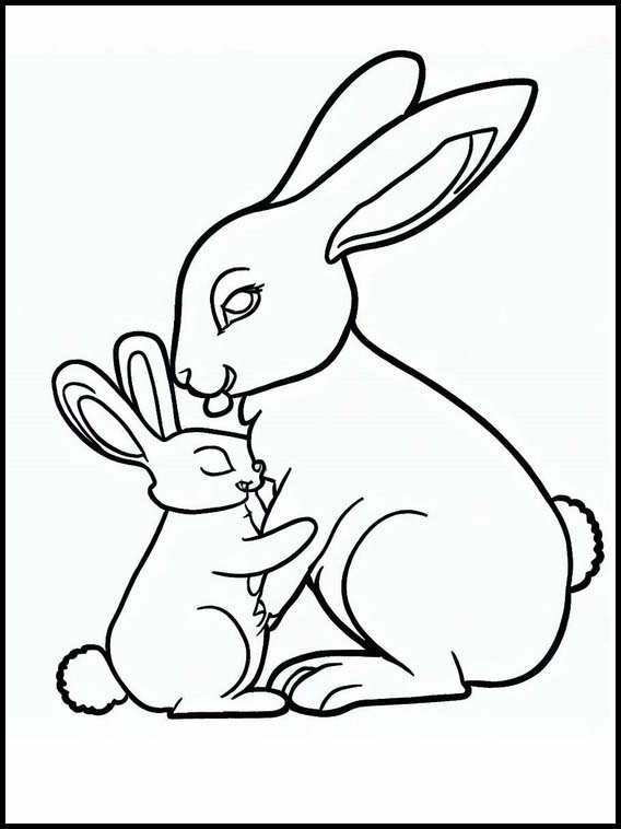 Rabbits - Animals 4