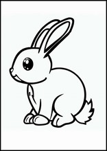ウサギ - 動物1