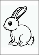 Conigli - Animali1