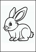 Rabbits - Animals2