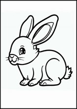 Conigli - Animali2
