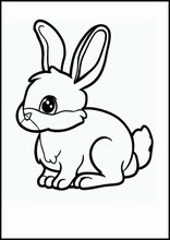 ウサギ - 動物3