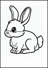 Conigli - Animali3