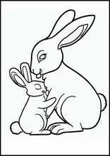 Conejos - Animales4